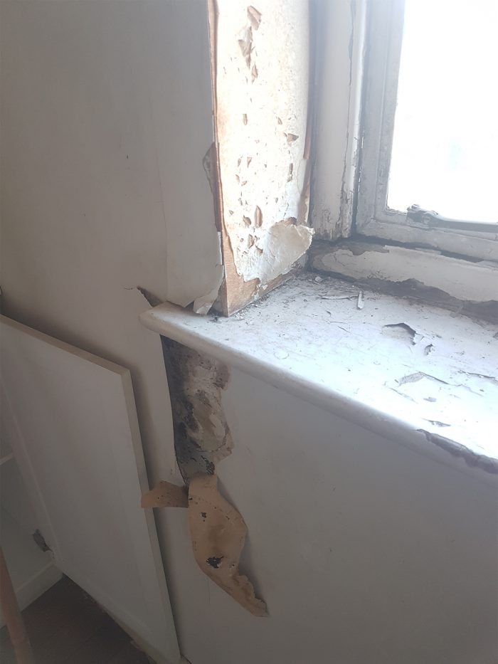 Window Ledge decay