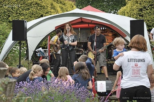 Summer Party - live band